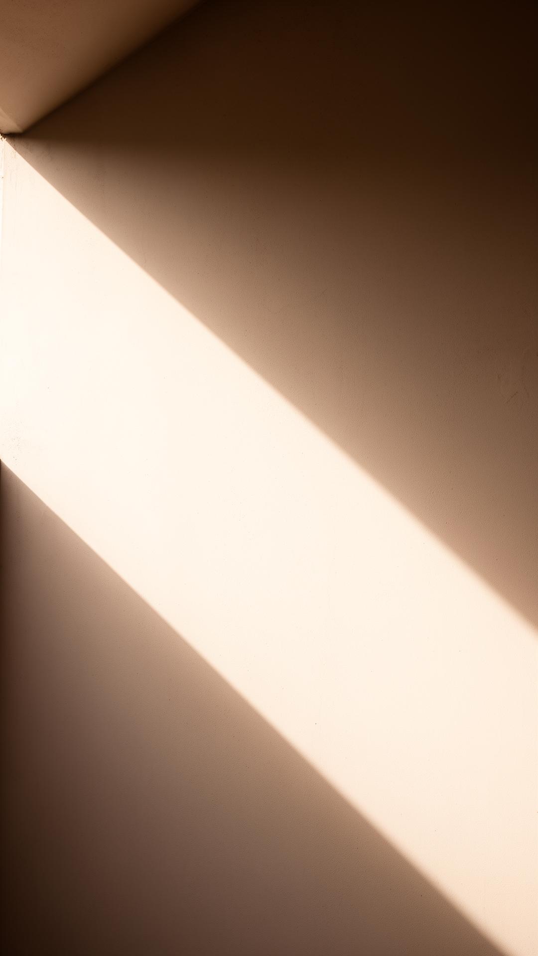 Founder portrait — light study